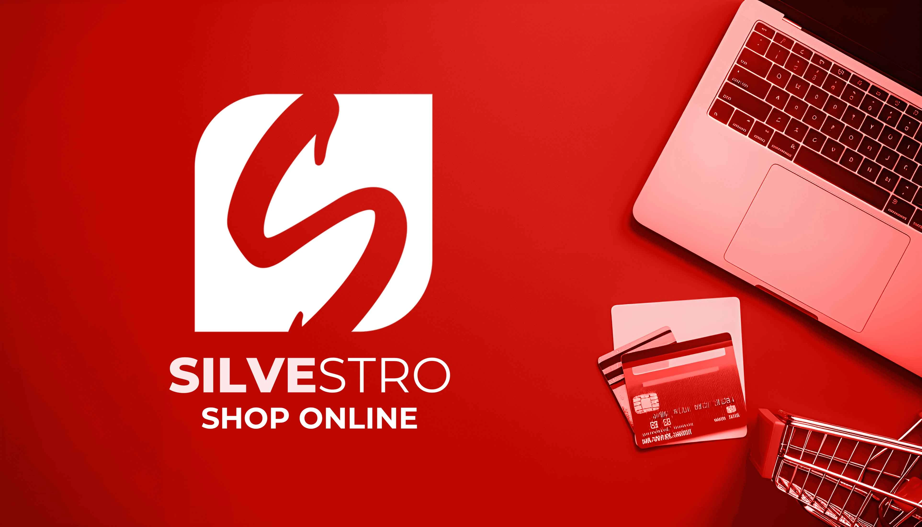 immagine categoria Bricolage e Fai da Te